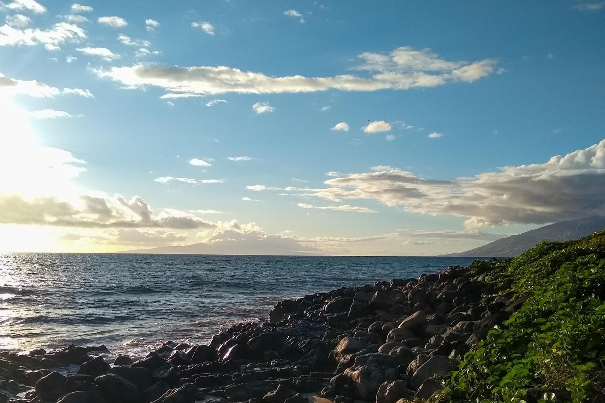 维雷亚Maui Banyan别墅 客房 照片
