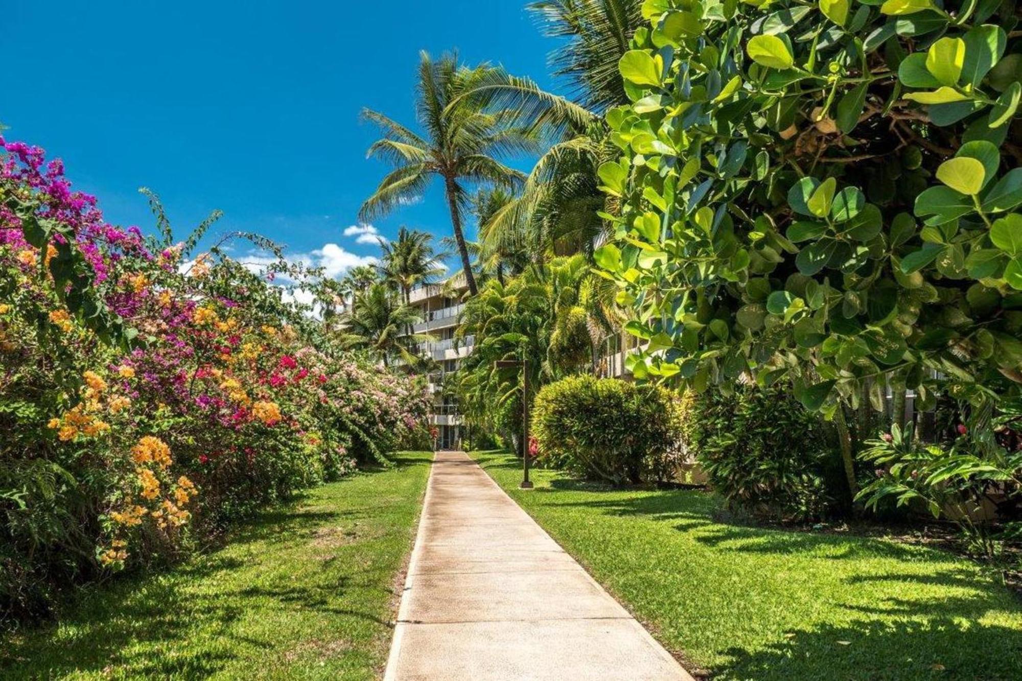 维雷亚Maui Banyan别墅 客房 照片