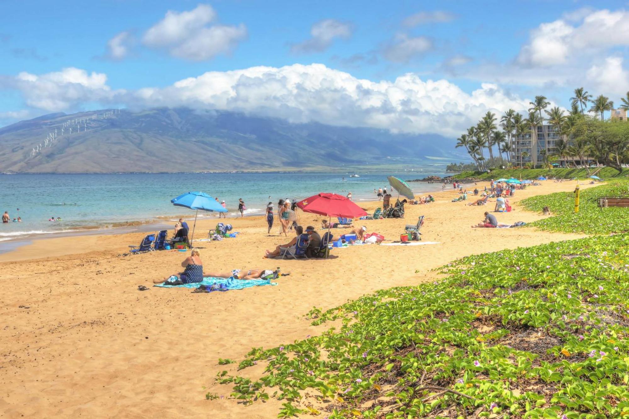 维雷亚Maui Banyan别墅 客房 照片